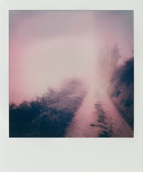 Into the fog (serie completa)