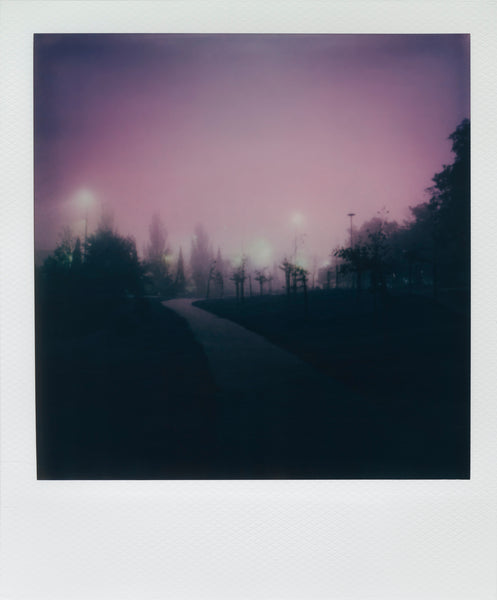Into the fog (serie completa)