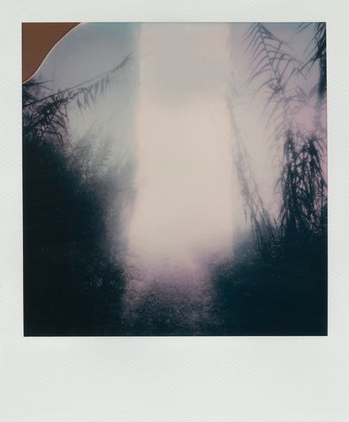 Into the fog (IV)
