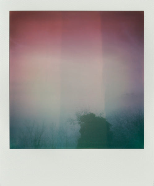Into the fog (III) - Foto su plexiglass ultraHD