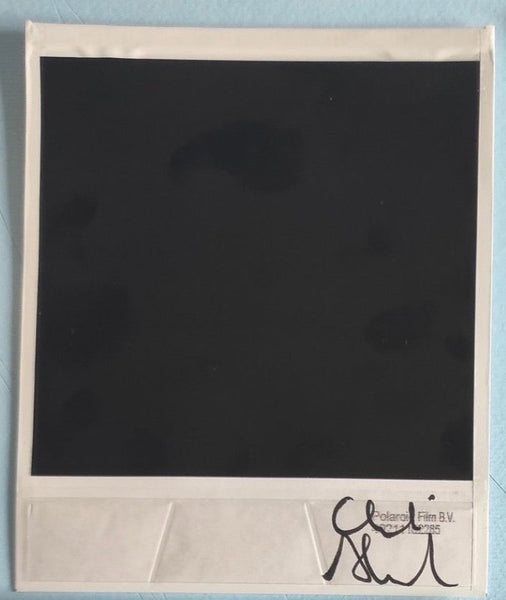 Alessandro Carleschi - Polaroid I