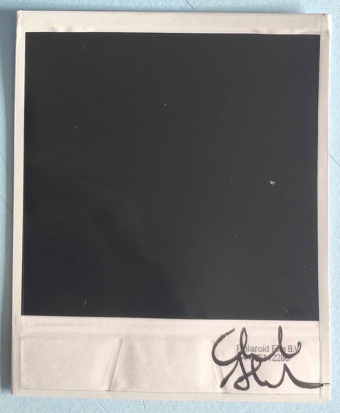 Alessandro Carleschi - Polaroid VIII