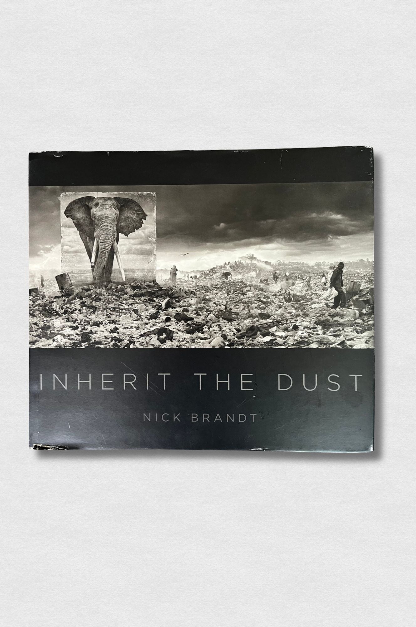 Inherit the dust - Nick Brandt