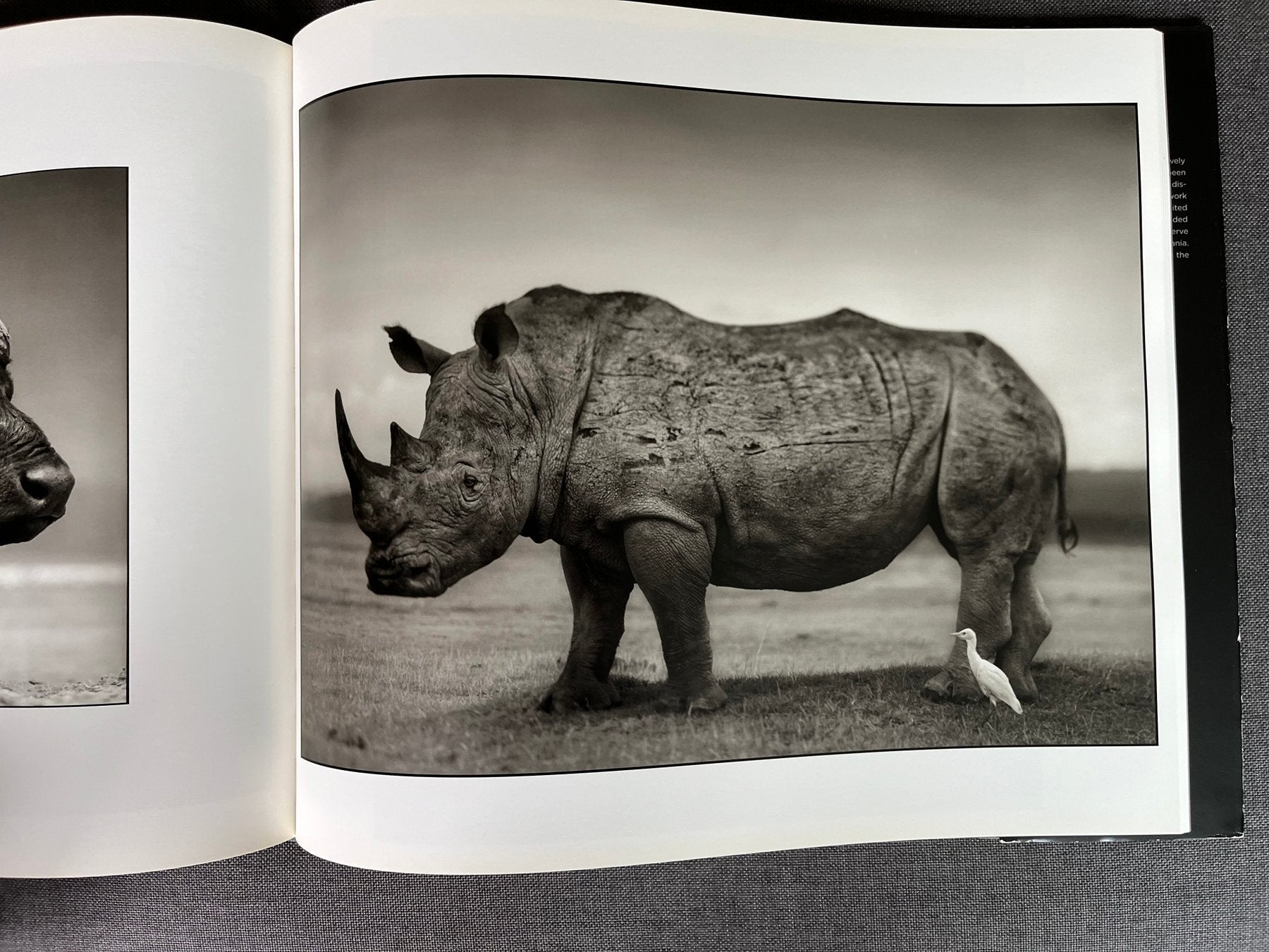Inherit the dust - Nick Brandt