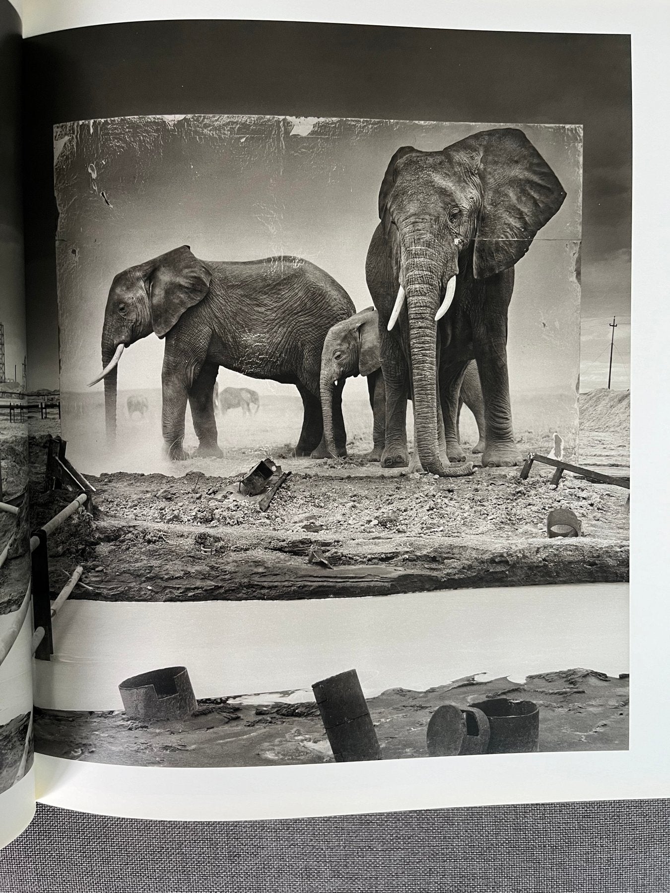 Inherit the dust - Nick Brandt