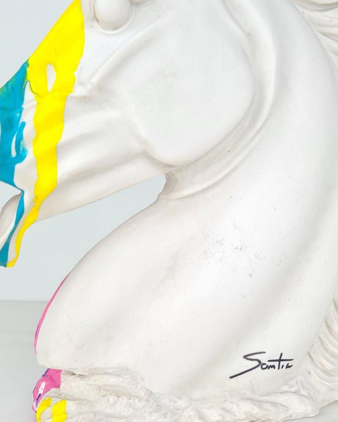 Unicorns are real - Santicri