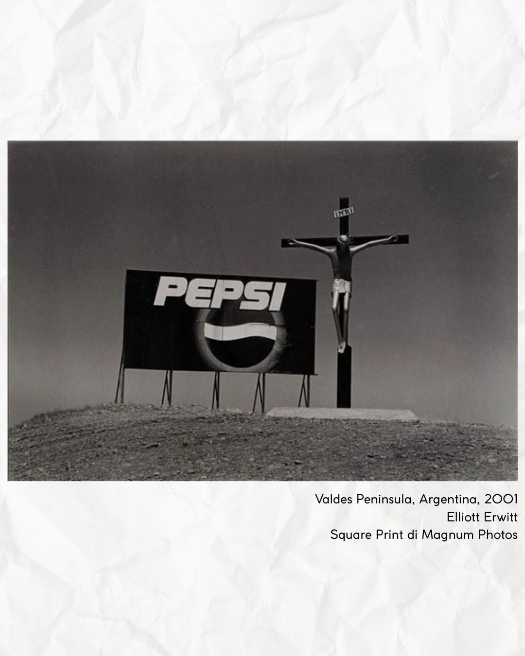 Valdes Peninsula - Elliot Erwitt