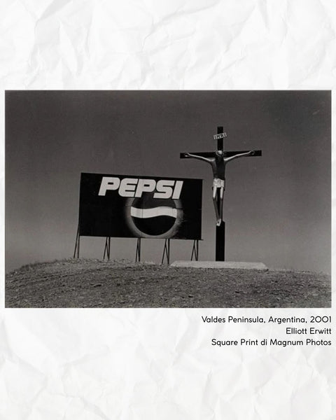 Valdes Peninsula - Elliot Erwitt