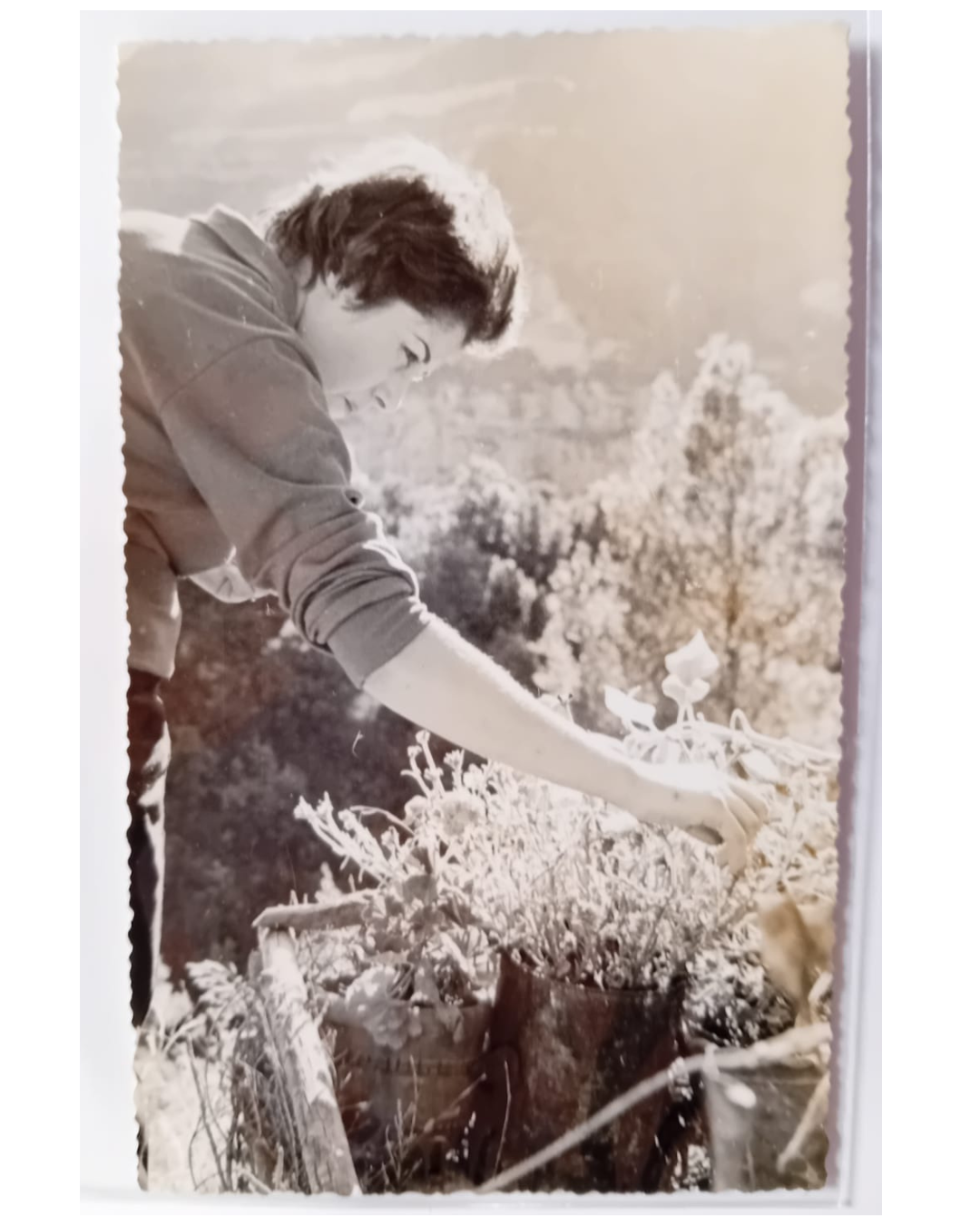 Donna e fiori - Vintage