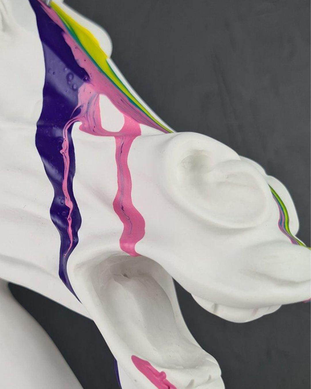 Unicorns are real - Santicri