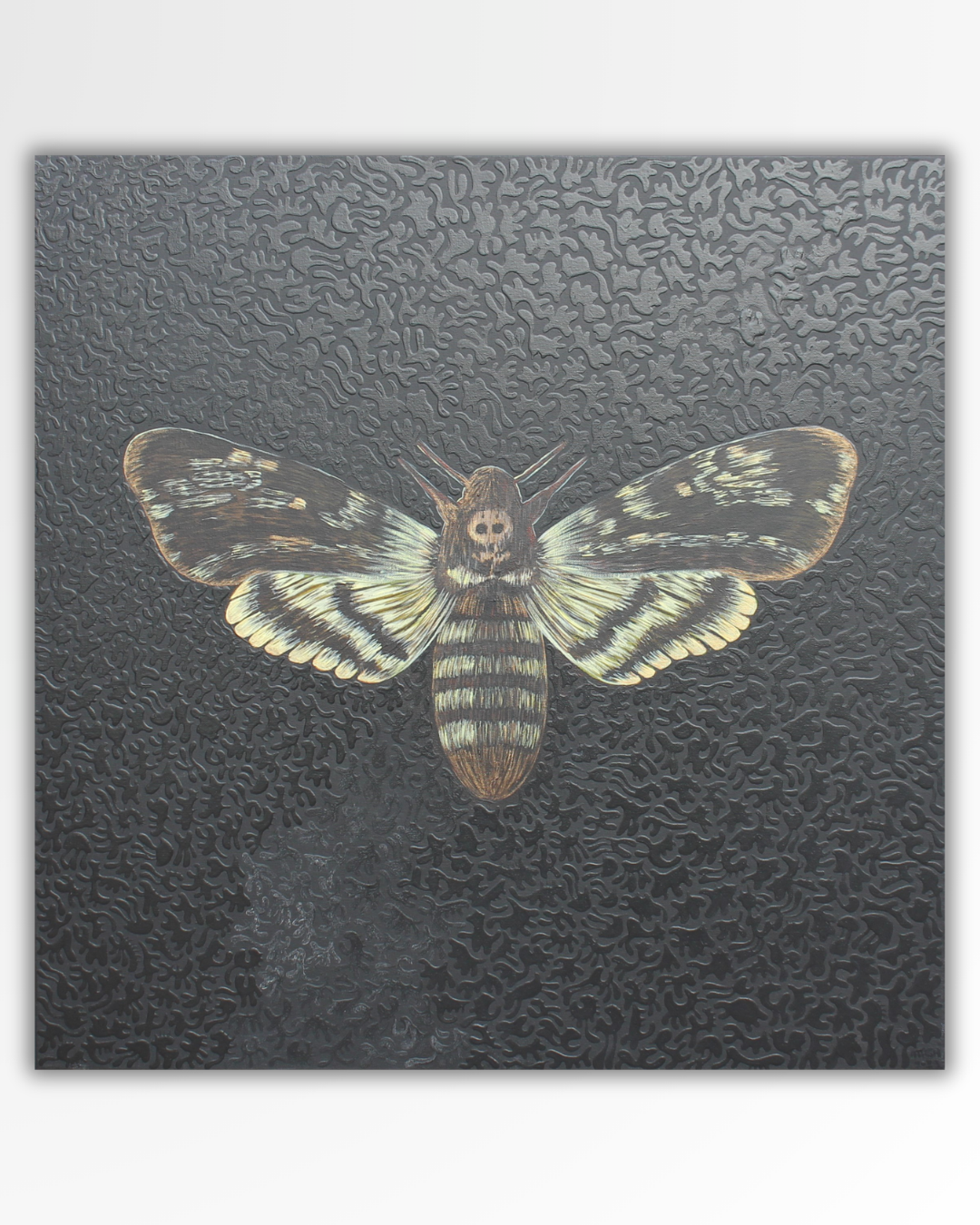 Acherontia Atropos