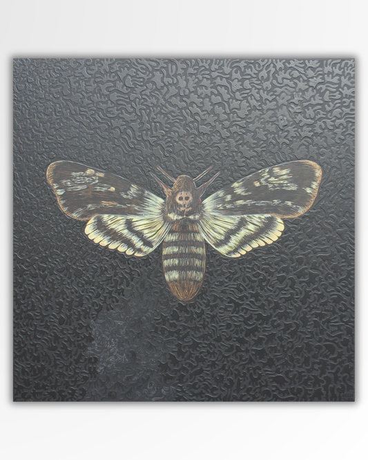 Acherontia Atropos - Magà (Manuela Galati)