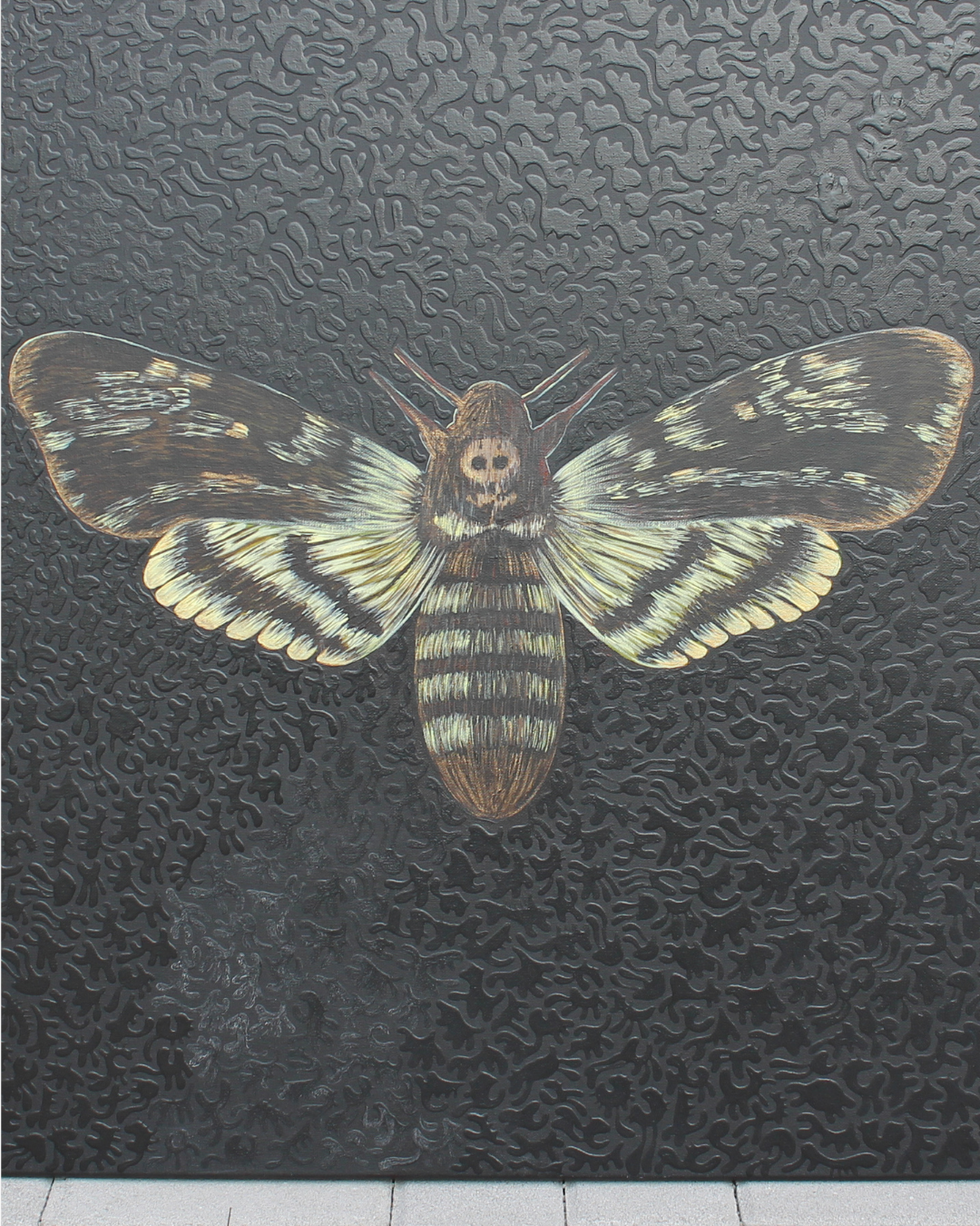 Acherontia Atropos