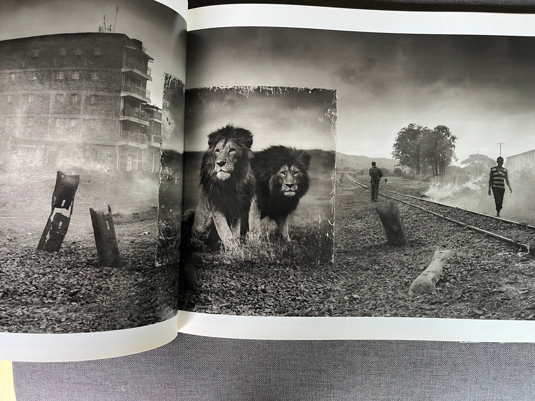 Inherit the dust - Nick Brandt