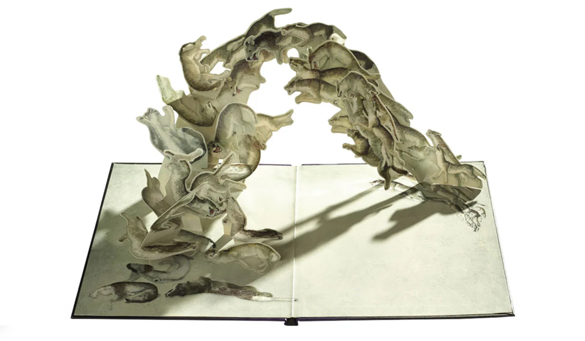 Visionaire 55 - SURPRISE (2008)