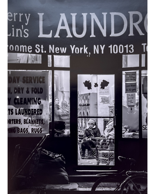 The Laundry