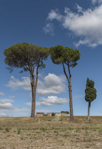 Campagna umbra (Umbria Countryside)