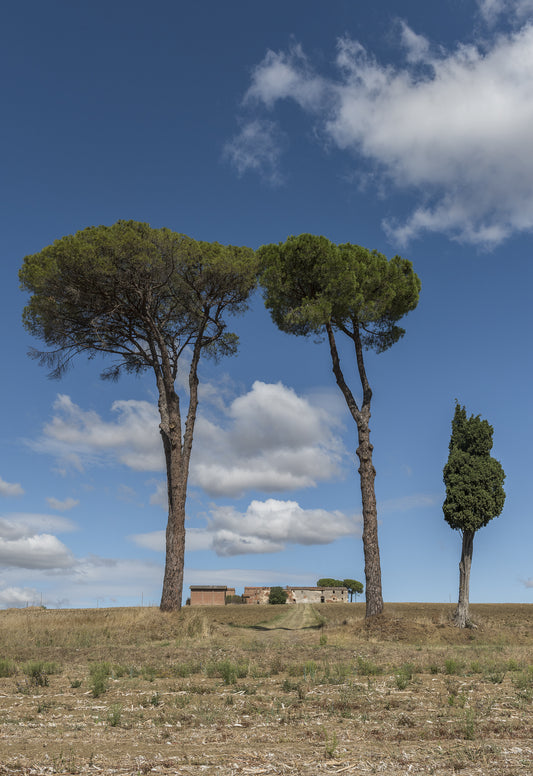 Unaltraitalia #30 - Umbria - Mimmi Moretti
