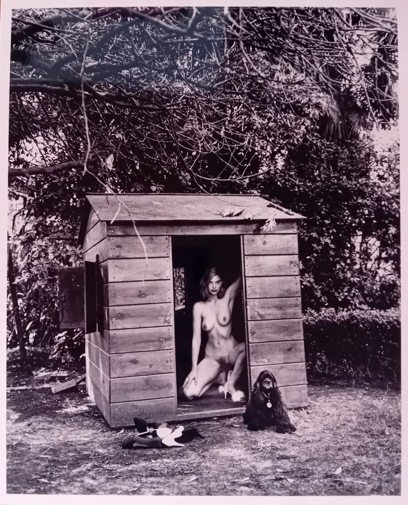Domestic nude 7 - Helmut Newton (1992)