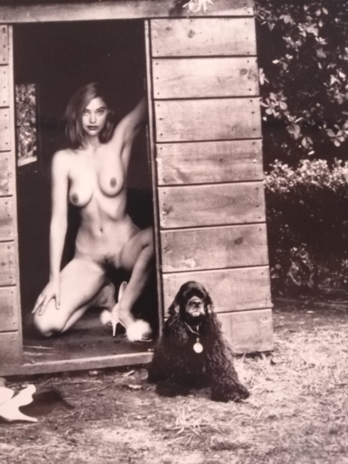 Domestic nude 7 - Helmut Newton (1992)