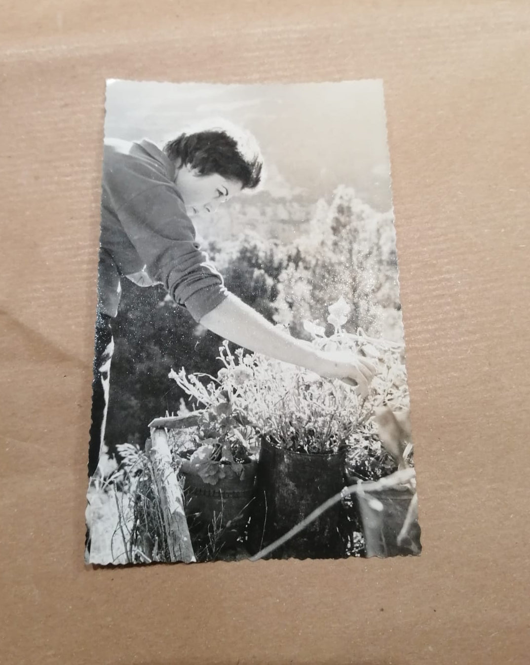 Donna e fiori - Vintage