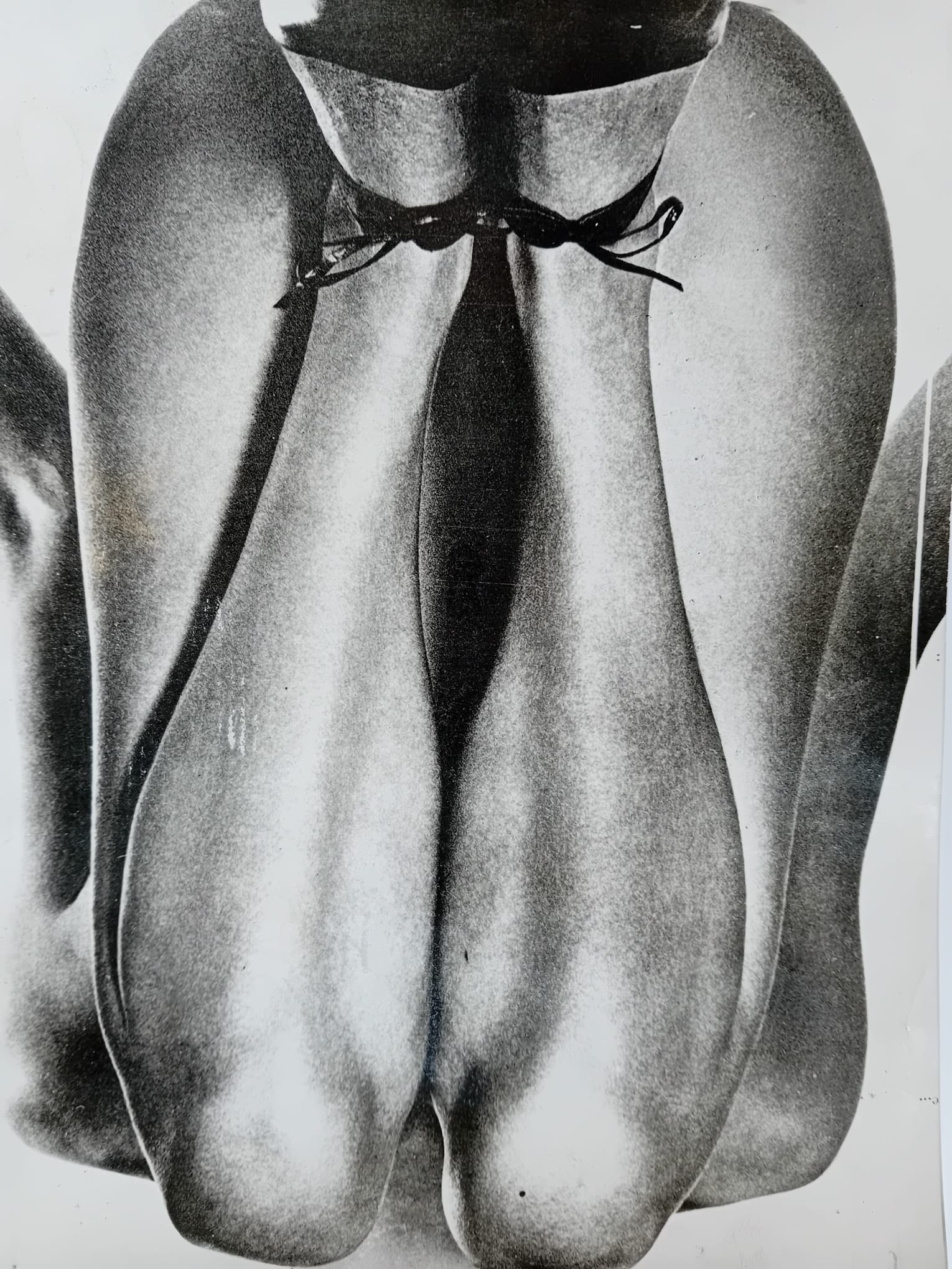 Le Gambe - foto vintage - 1955