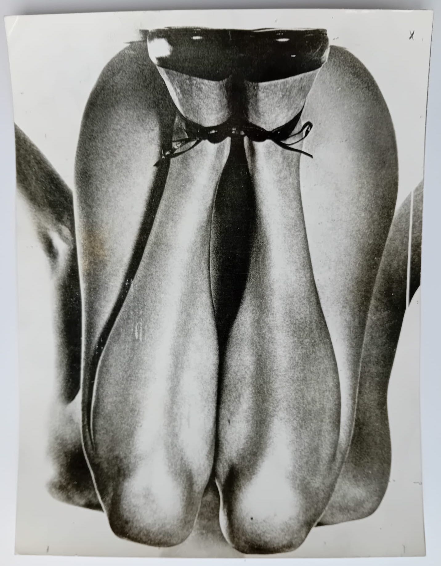 Gambe (1955)