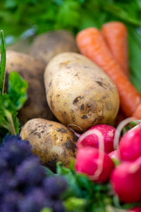 Le verdure dell'orto (Garden's vegetables)