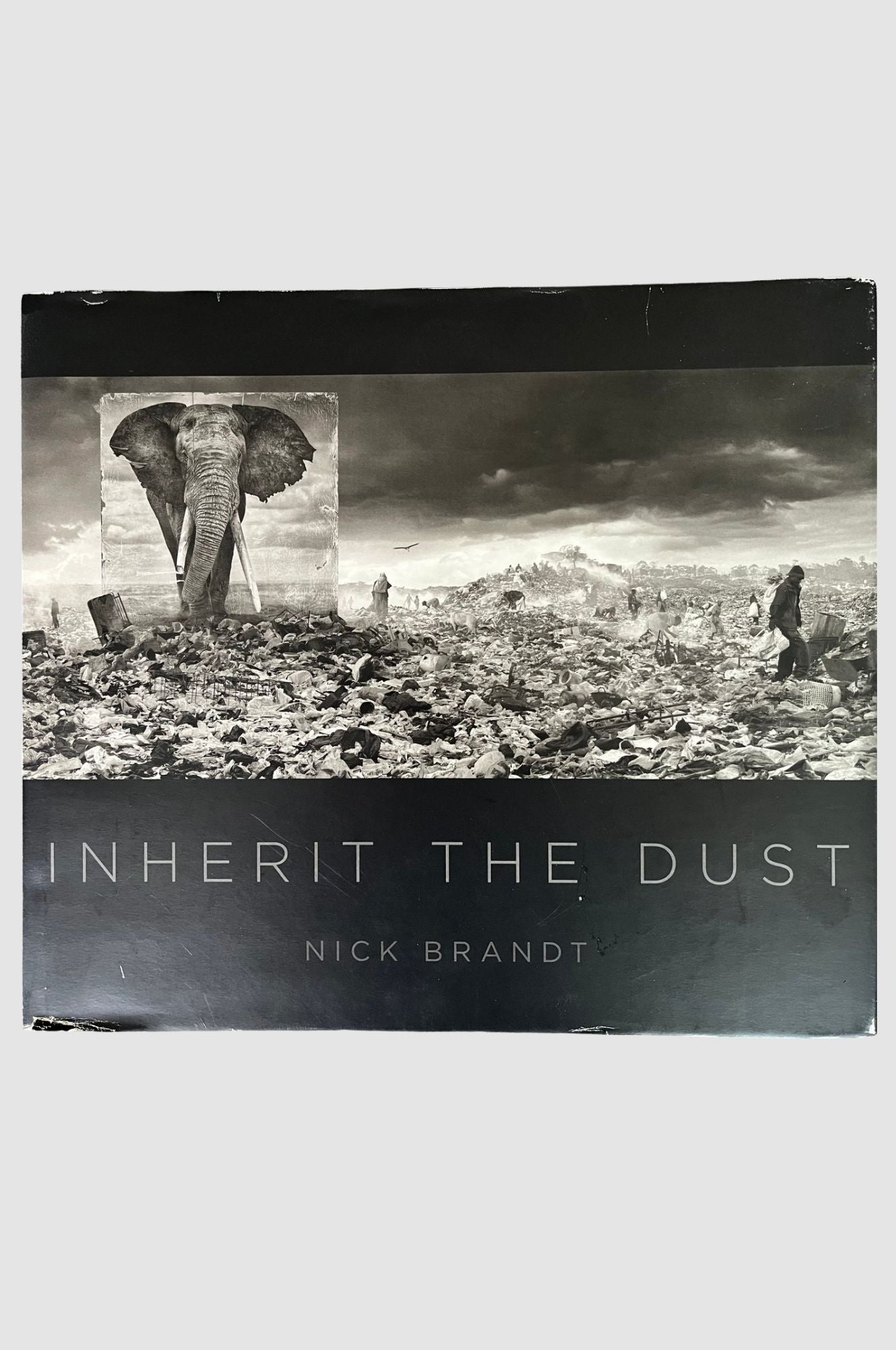 Inherit the dust - Nick Brandt