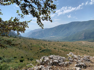 Senza Segnale - Valle di Diano III