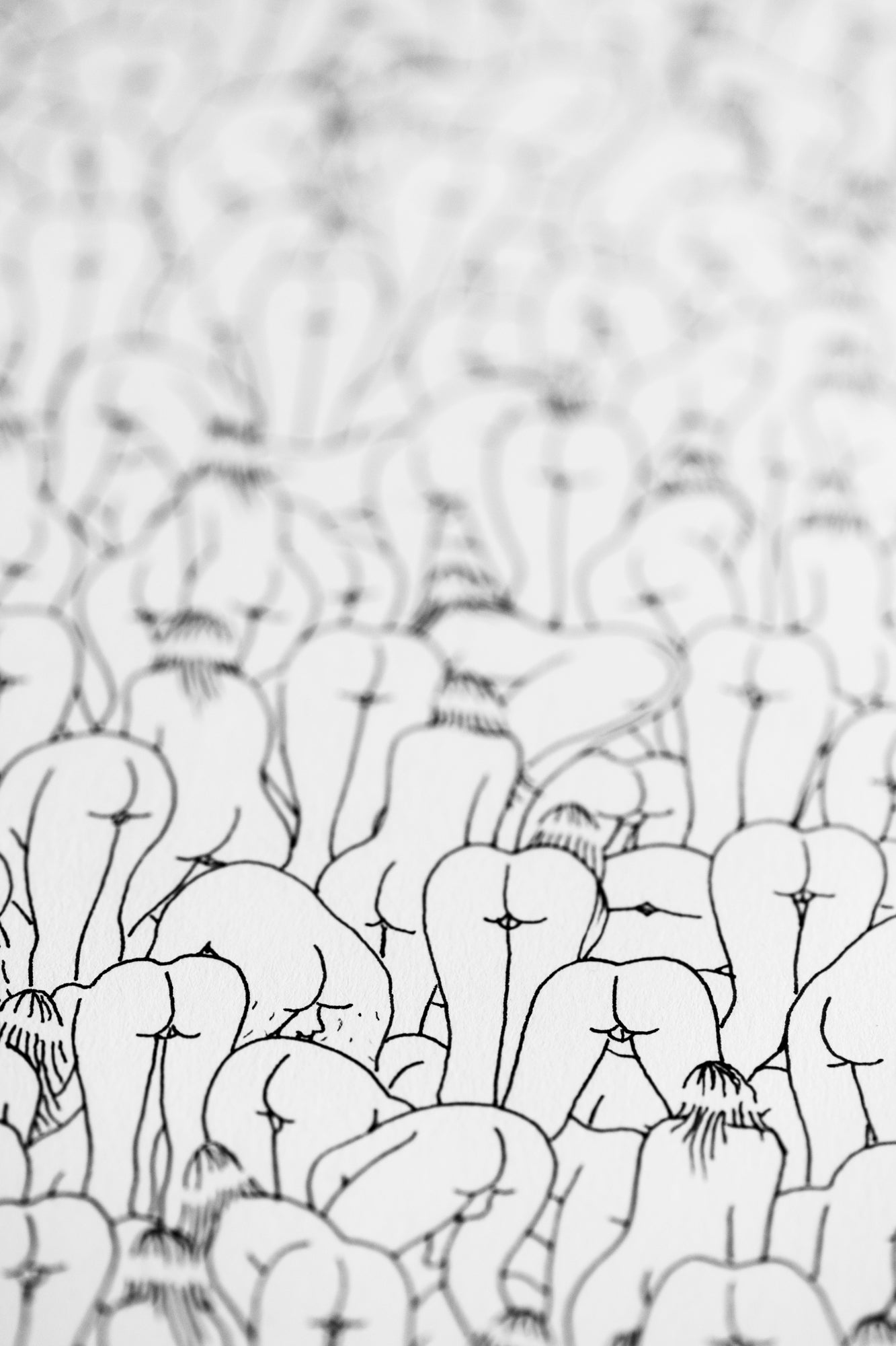 Nadim Zaidi limited edition Domi Gallery