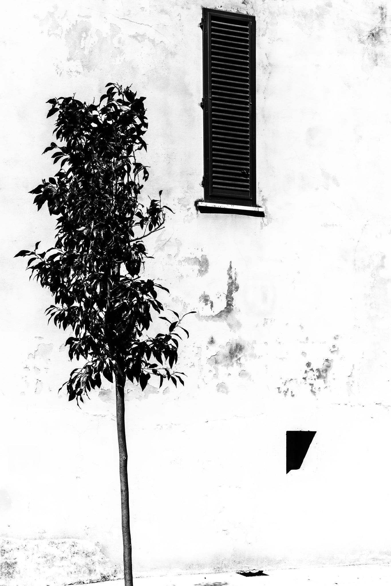 Abstractions in Pietrasanta