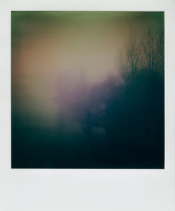 Into the fog (VI) - Foto su plexiglass ultraHD