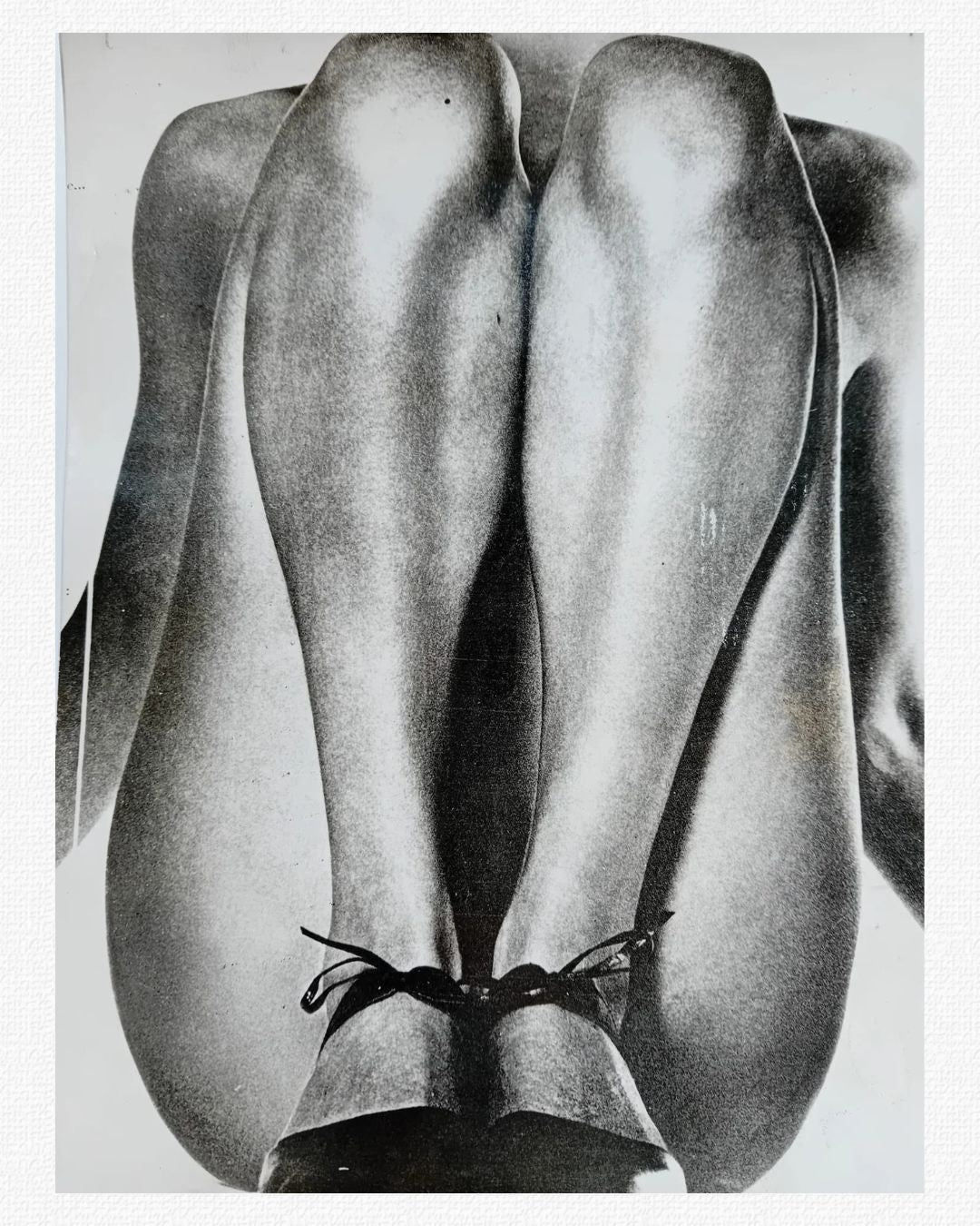 Gambe (1955)