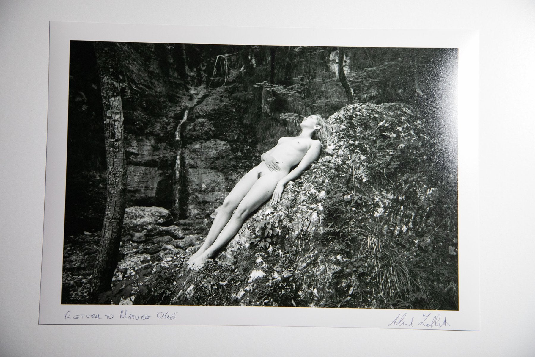 "Return to nature" - Alessandro Zaffonato