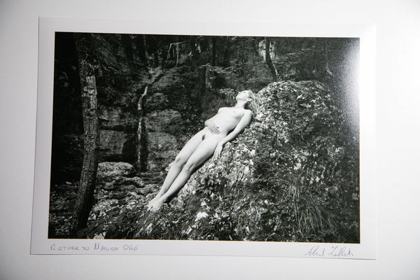 "Return to nature" - Alessandro Zaffonato