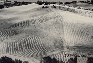 Mario Giacomelli - No title (Landscape)