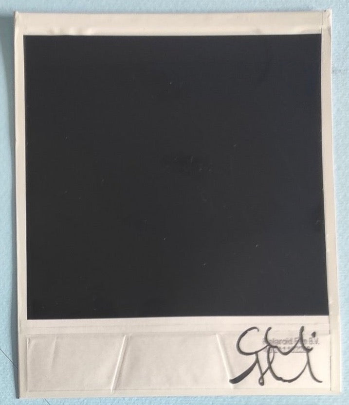 Alessandro Carleschi - Polaroid II