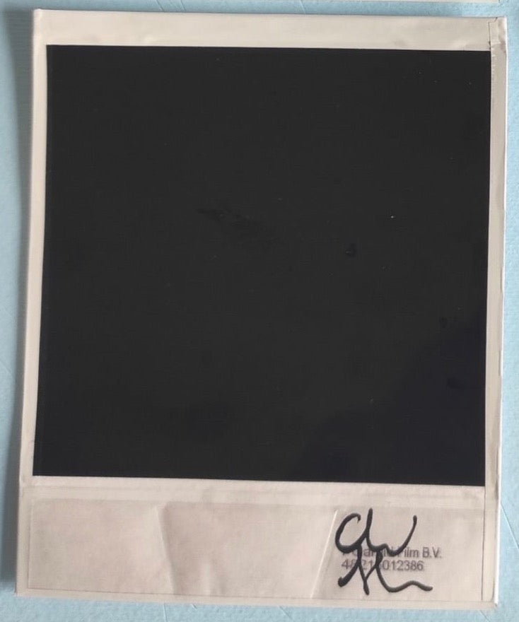 Alessandro Carleschi - Polaroid III