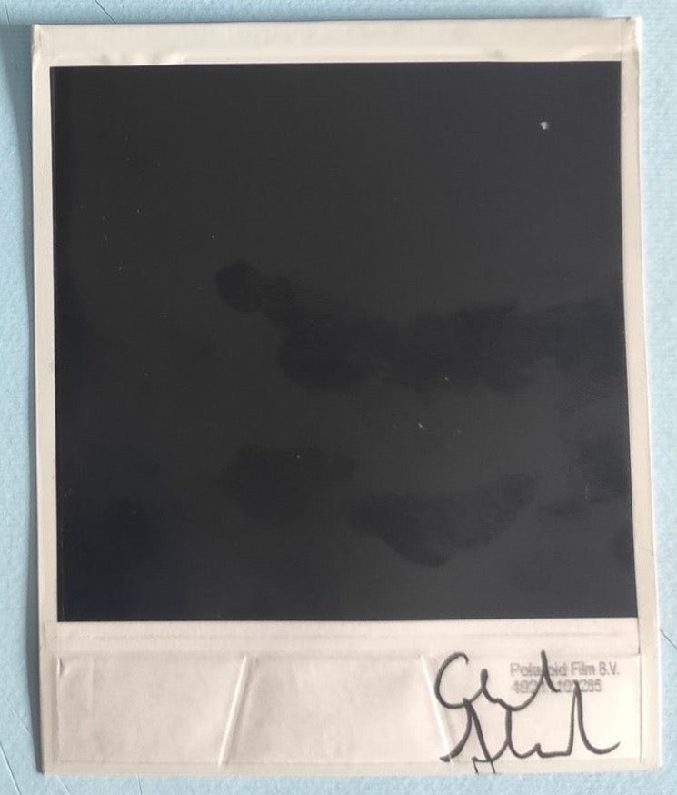 Alessandro Carleschi - Polaroid IV