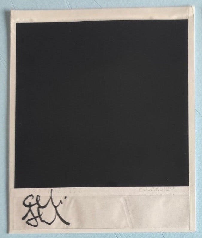 Alessandro Carleschi - Polaroid V