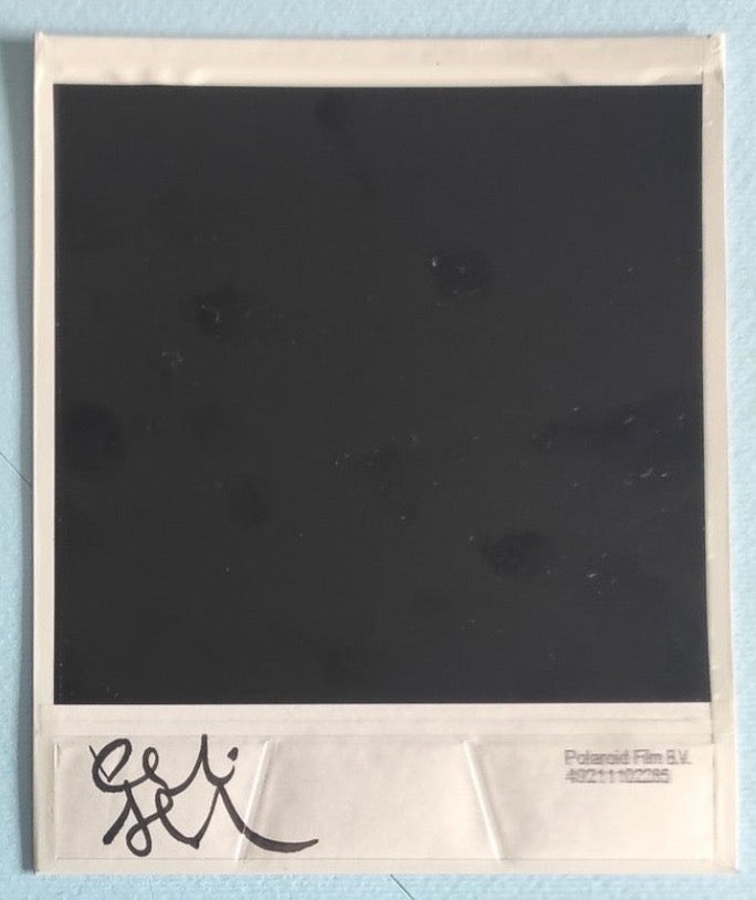 Alessandro Carleschi - Polaroid VI