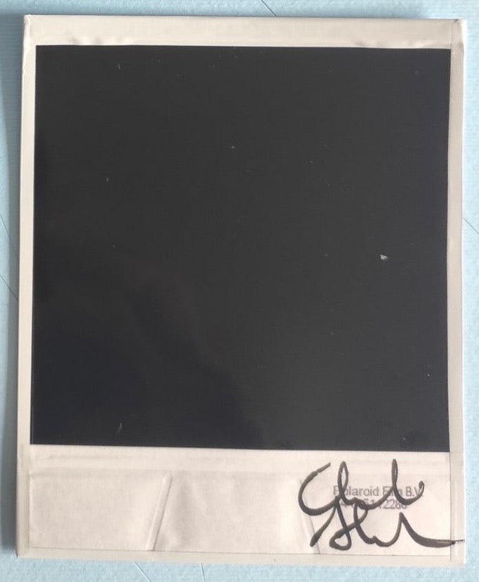 Alessandro Carleschi - Polaroid VIII