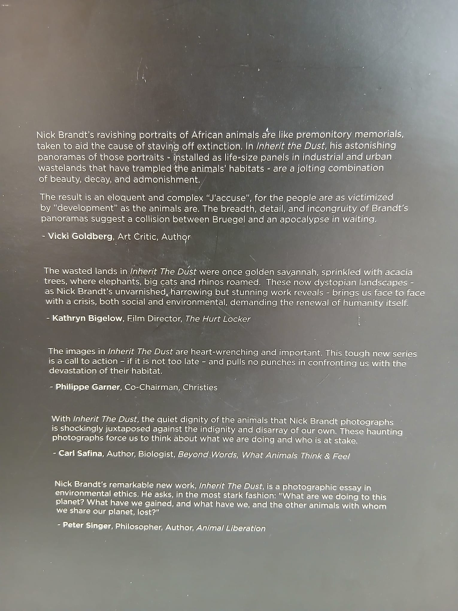 Inherit the dust - Nick Brandt