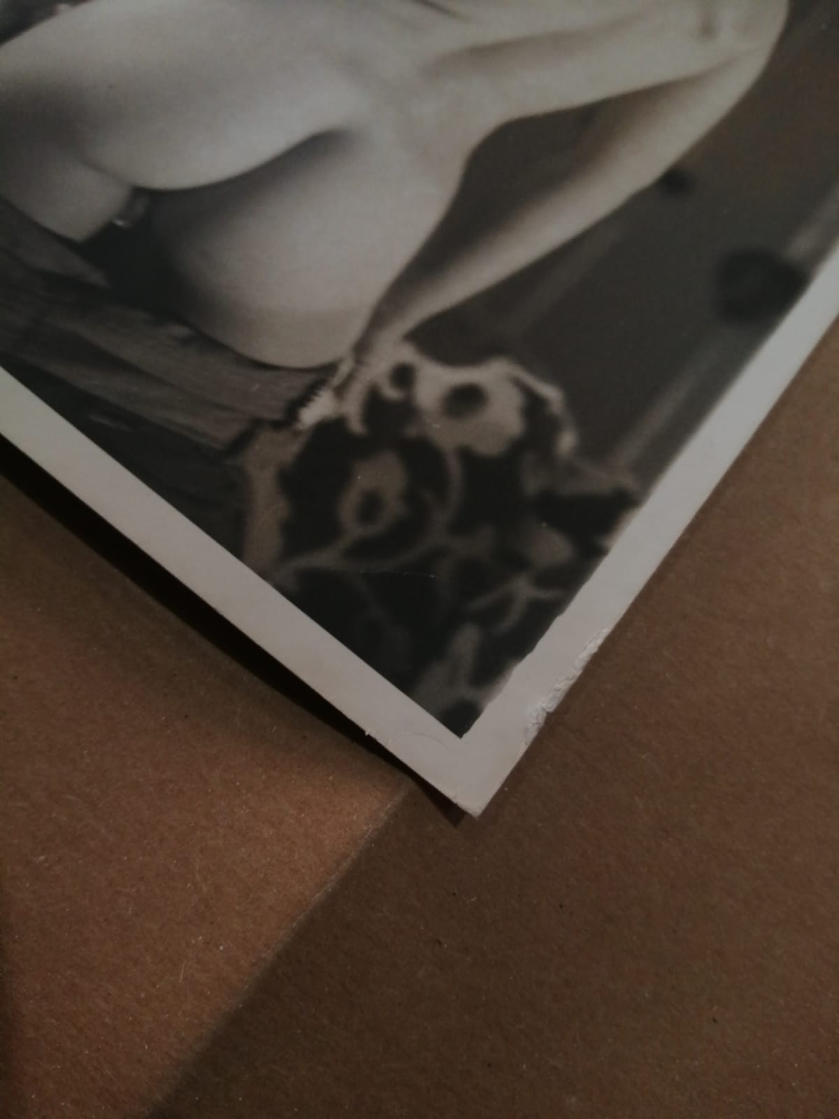 Jeannette Sears - Bunny Yeager