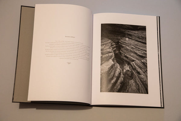 "Return to nature" - Alessandro Zaffonato