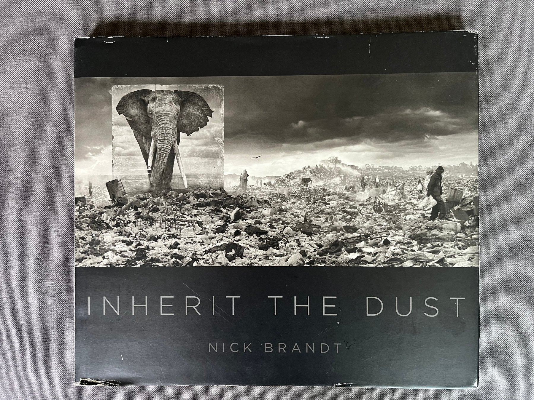 Inherit the dust - Nick Brandt
