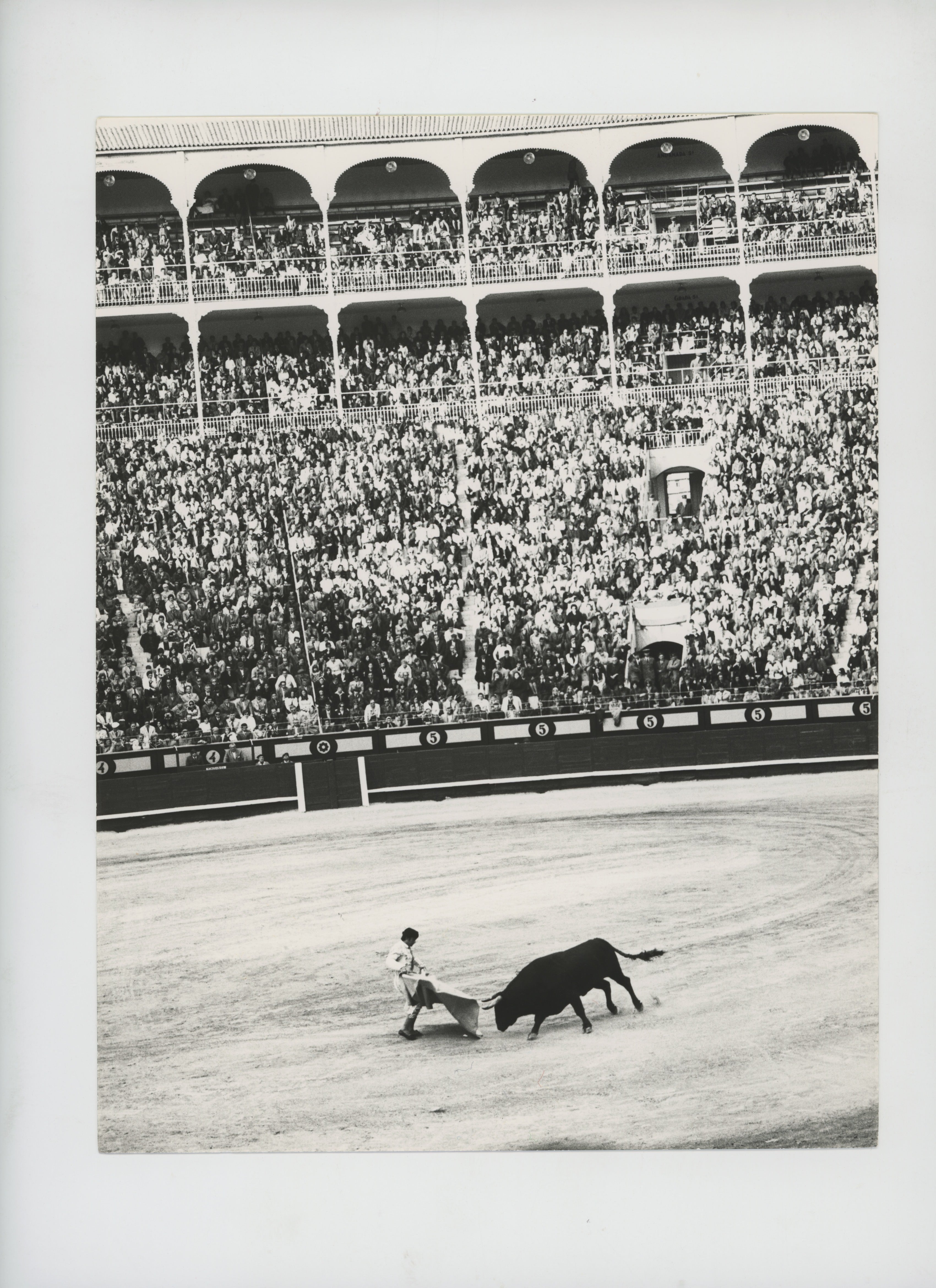 Corrida - Vittorio Garatti