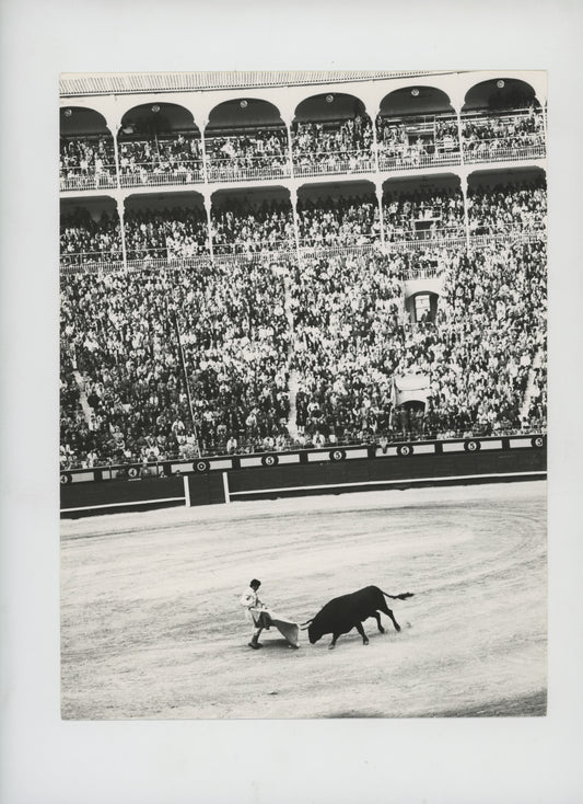Corrida - Vittorio Garatti